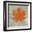 Forest Leaf III-Max Carter-Framed Art Print