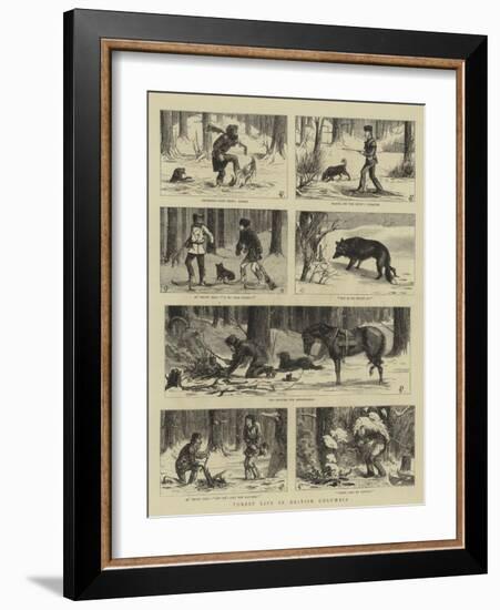 Forest Life in British Columbia-Charles Edwin Fripp-Framed Giclee Print