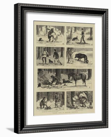 Forest Life in British Columbia-Charles Edwin Fripp-Framed Giclee Print