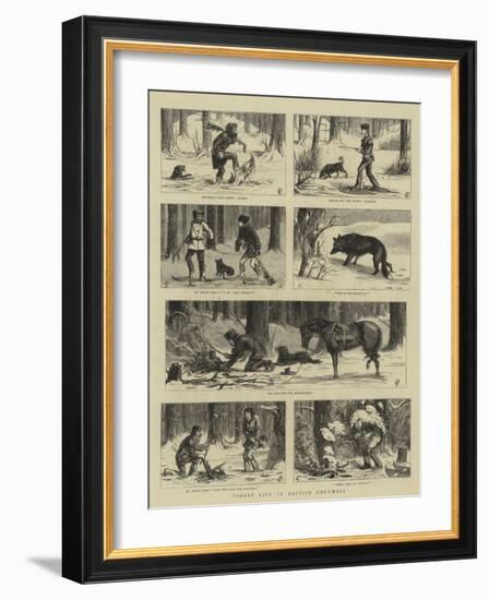 Forest Life in British Columbia-Charles Edwin Fripp-Framed Giclee Print