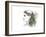 Forest Lover Girl Portrait-Michelle Faber-Framed Giclee Print