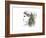 Forest Lover Girl Portrait-Michelle Faber-Framed Giclee Print