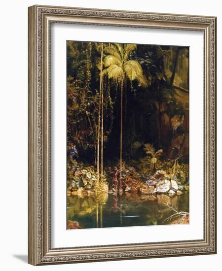 Forest Mirror, Queensland-Charles E Gordon Frazer-Framed Art Print