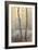 Forest Mist-David Baker-Framed Photographic Print