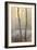 Forest Mist-David Baker-Framed Photographic Print