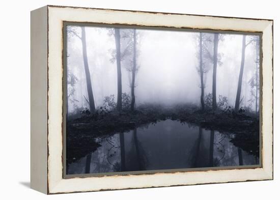 Forest Mist-PhotoINC Studio-Framed Premier Image Canvas