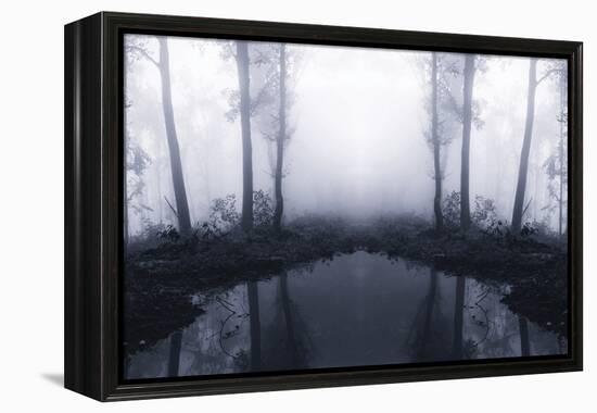 Forest Mist-PhotoINC Studio-Framed Premier Image Canvas