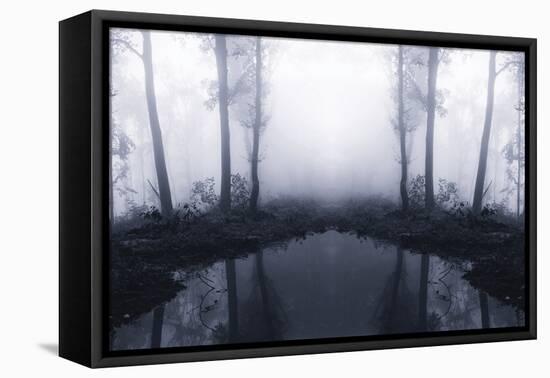 Forest Mist-PhotoINC Studio-Framed Premier Image Canvas