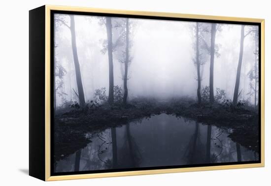 Forest Mist-PhotoINC Studio-Framed Premier Image Canvas