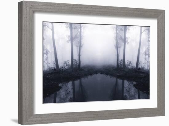 Forest Mist-PhotoINC Studio-Framed Photographic Print