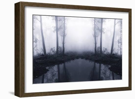 Forest Mist-PhotoINC Studio-Framed Photographic Print