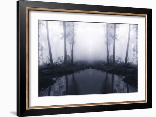 Forest Mist-PhotoINC Studio-Framed Photographic Print