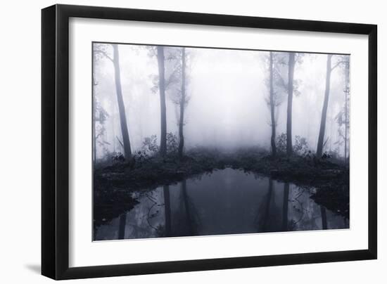 Forest Mist-PhotoINC Studio-Framed Photographic Print