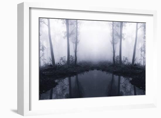 Forest Mist-PhotoINC Studio-Framed Photographic Print