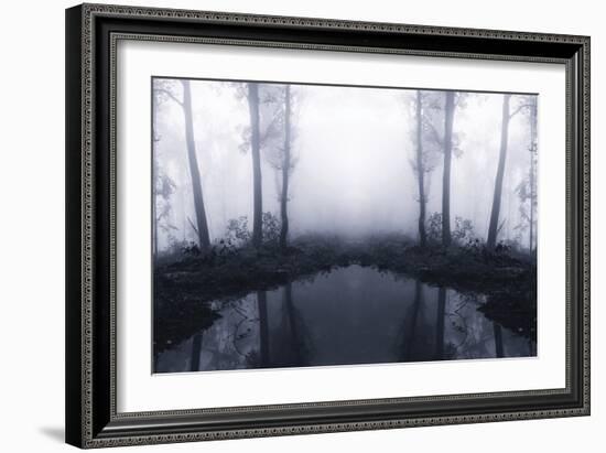 Forest Mist-PhotoINC Studio-Framed Photographic Print