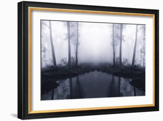 Forest Mist-PhotoINC Studio-Framed Photographic Print