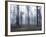 Forest Mists-Andreas Stridsberg-Framed Giclee Print