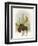 Forest Moose-Ryan Fowler-Framed Art Print