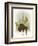 Forest Moose-Ryan Fowler-Framed Art Print