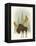 Forest Moose-Ryan Fowler-Framed Stretched Canvas