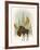 Forest Moose-Ryan Fowler-Framed Art Print