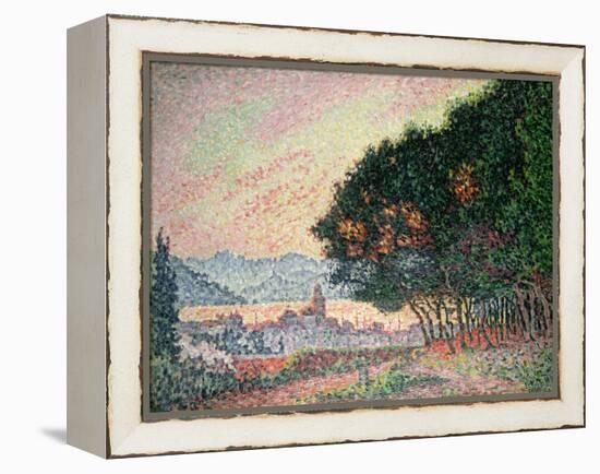Forest Near St. Tropez, 1902-Paul Signac-Framed Premier Image Canvas