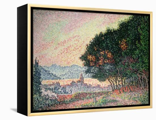 Forest Near St. Tropez, 1902-Paul Signac-Framed Premier Image Canvas