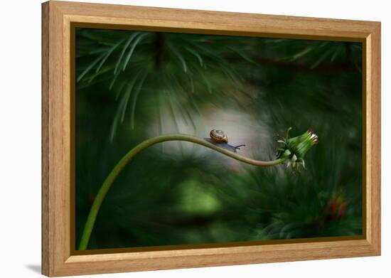 Forest nook-null-Framed Premier Image Canvas