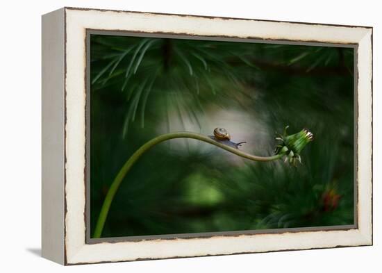 Forest nook-null-Framed Premier Image Canvas