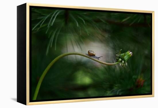 Forest nook-null-Framed Premier Image Canvas