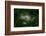 Forest nook-null-Framed Photographic Print