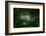 Forest nook-null-Framed Photographic Print