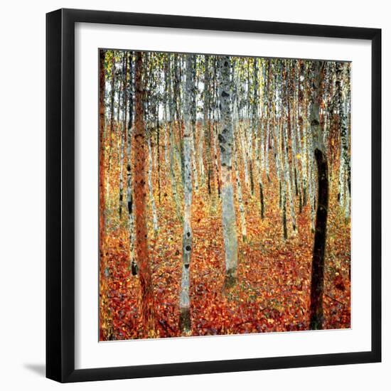 Forest of Beech Trees, c.1903-Gustav Klimt-Framed Art Print