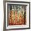 Forest of Beech Trees, c.1903-Gustav Klimt-Framed Art Print