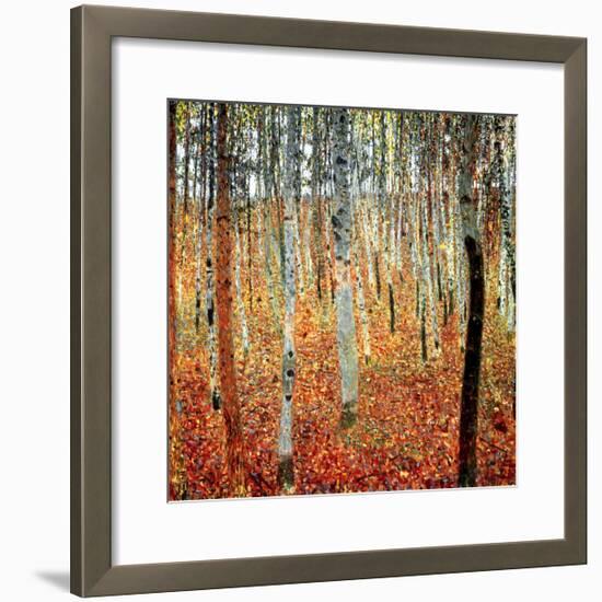 Forest of Beech Trees, c.1903-Gustav Klimt-Framed Art Print