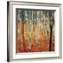 Forest of Beech Trees, c.1903-Gustav Klimt-Framed Art Print