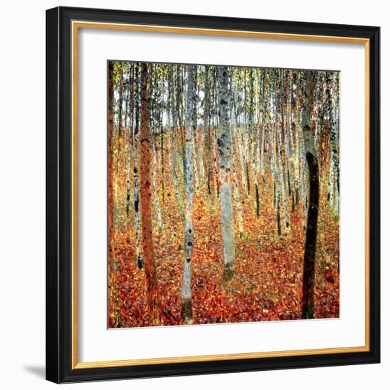 Forest of Beech Trees, c.1903-Gustav Klimt-Framed Art Print