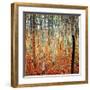 Forest of Beech Trees, c.1903-Gustav Klimt-Framed Art Print