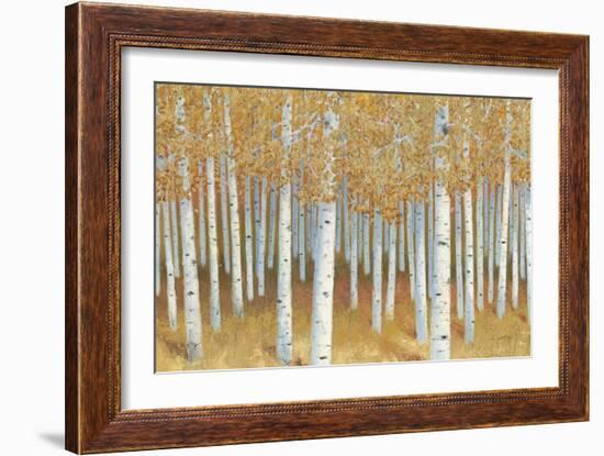 Forest of Gold-James Wiens-Framed Art Print