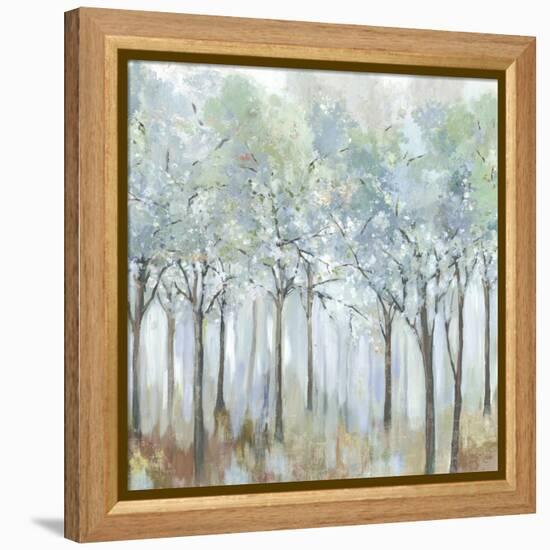 Forest of Light-Allison Pearce-Framed Stretched Canvas