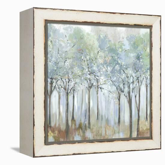 Forest of Light-Allison Pearce-Framed Stretched Canvas