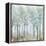 Forest of Light-Allison Pearce-Framed Stretched Canvas