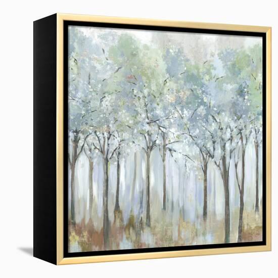 Forest of Light-Allison Pearce-Framed Stretched Canvas