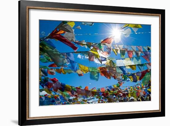 Forest' of Prayer Flags Backlit Against the Sun at the Top of Khardung La Pass (5,606M) North of…-null-Framed Photographic Print