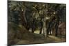 Forest of the Villa Borghese, Late 18Th/Early 19th Century-Pierre Henri de Valenciennes-Mounted Giclee Print