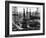 Forest of Wells, Rigs and Derricks Crowd the Signal Hill Oil Fields-Andreas Feininger-Framed Photographic Print