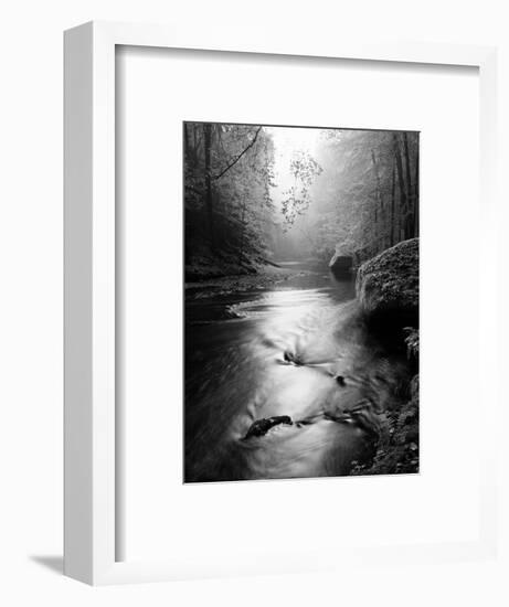 Forest on Bank of Autumn Mountain River Covered by Beech Leaves. Bended Branches above Water. Black-rdonar-Framed Photographic Print