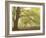 Forest Pale-Doug Chinnery-Framed Photographic Print