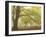 Forest Pale-Doug Chinnery-Framed Photographic Print