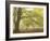 Forest Pale-Doug Chinnery-Framed Photographic Print